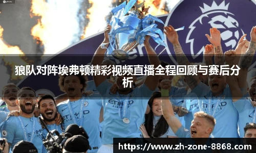 狼队对阵埃弗顿精彩视频直播全程回顾与赛后分析